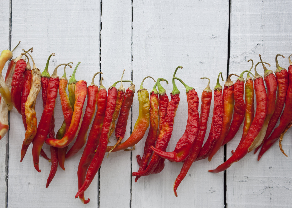 What red hot chile peppers might be able to do for cancer pain treatment